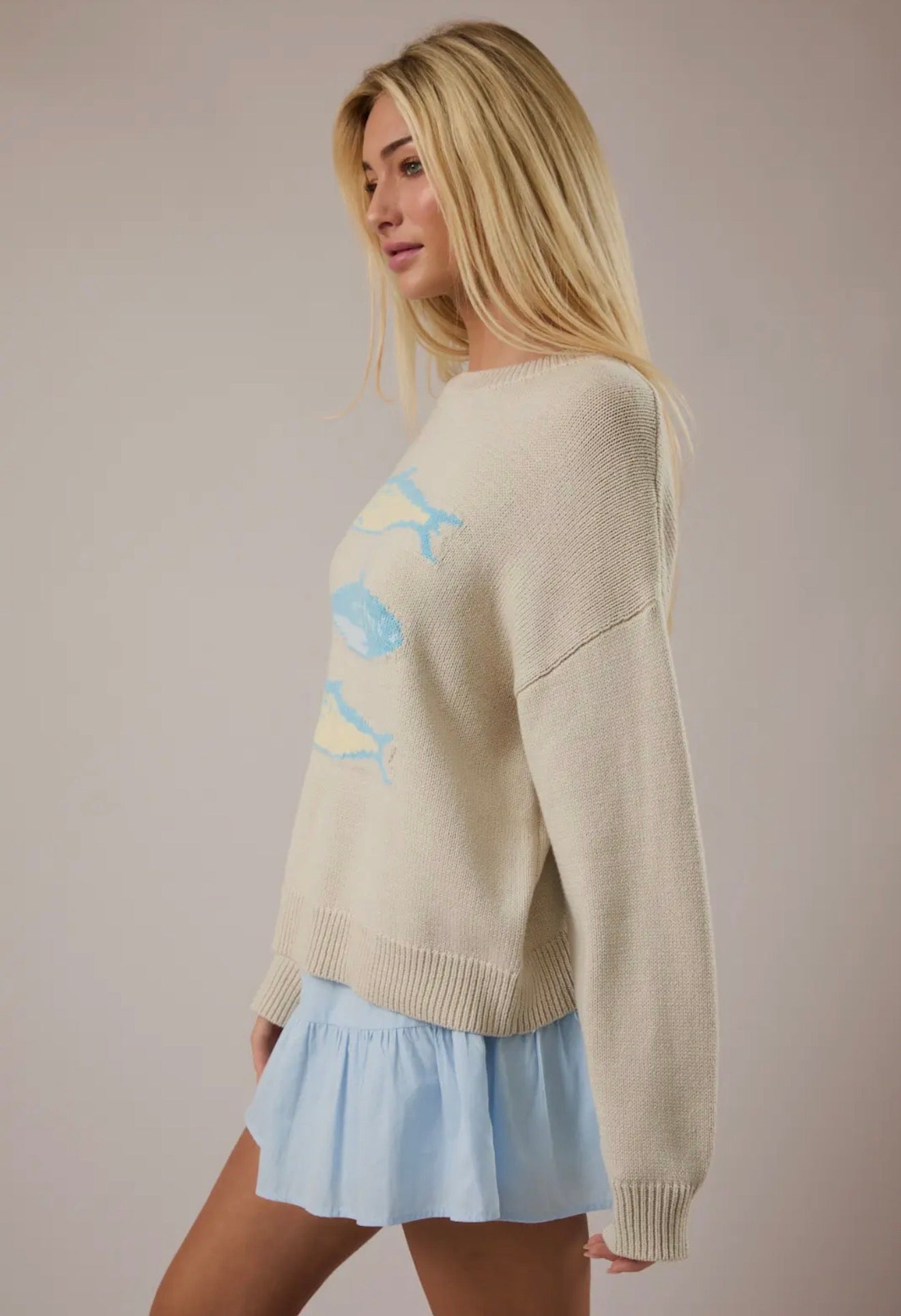 Round Neck 3 Sardines Sweater Top