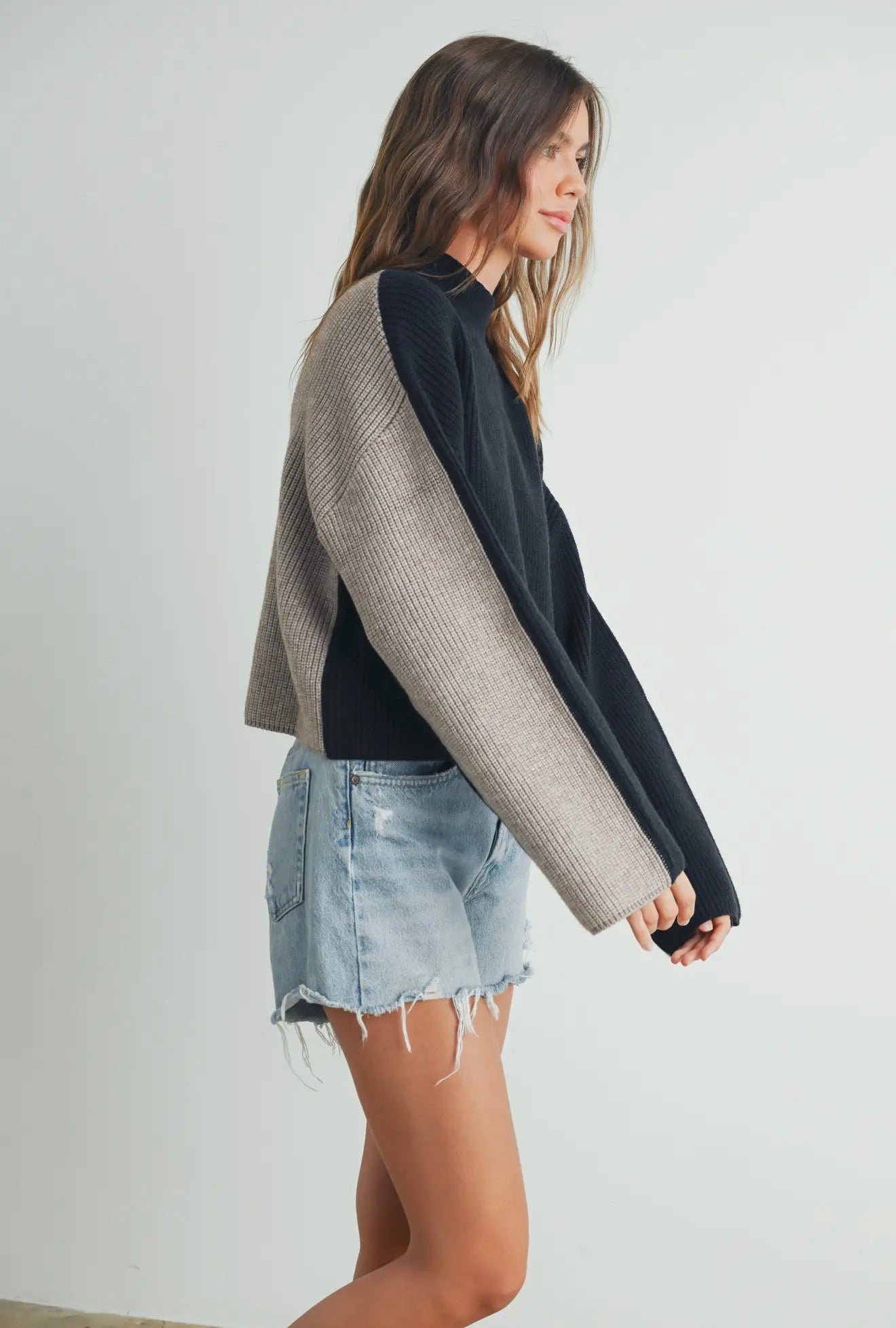 Two Toned Turtleneck Sweater